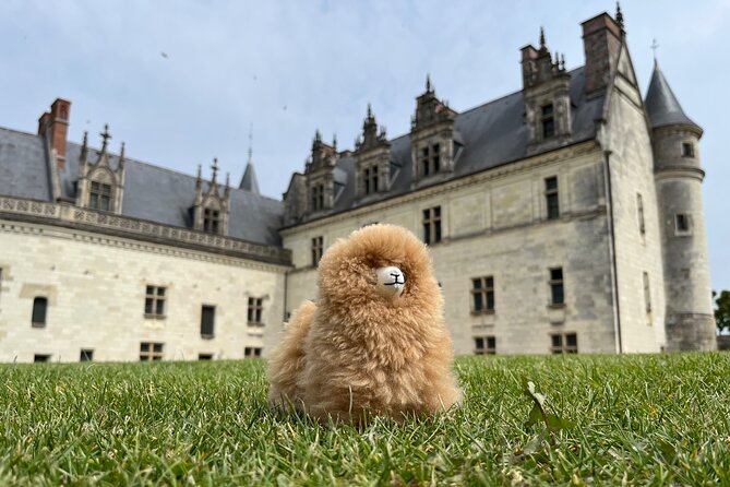 3 Loire Valley Castles and Wine Tasting Private Guided Tour - Château Royal d’Amboise: Gothic to Renaissance, plus Leonardo’s resting place
