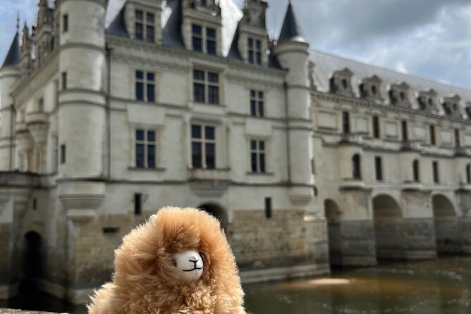 3 Loire Valley Castles and Wine Tasting Private Guided Tour - Plou et Fils wine tasting: at least 7 wines at a winery dating back to 1508