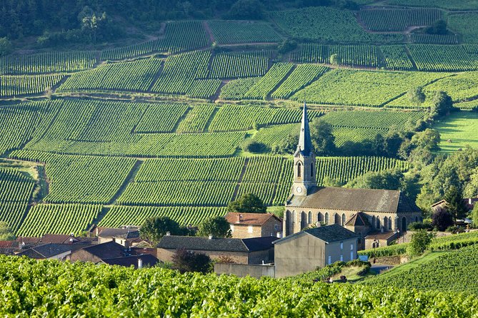Burgundy Wine Tasting Small-Group Tour in Chablis from Paris - Dawn departures from La Flamme in Paris to Chablis