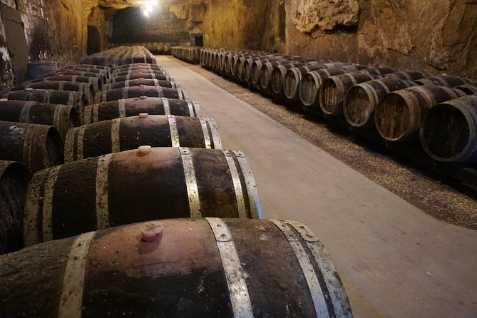 Burgundy Wine Tasting Small-Group Tour in Chablis from Paris - More than 10 wines: what to expect by style (and what to watch for)
