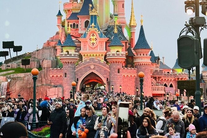 CDG Euro Disney Private Shuttle Transfer - Mercedes-Benz V-Class Comfort, for Groups That Need Space