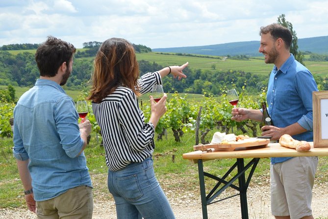 Chablis and Burgundy Wine Tour Run by Sommelier with Lunch - Chablis vineyards first: where the day’s flavor theme gets set