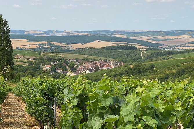 Chablis and Burgundy Wine Tour Run by Sommelier with Lunch - Transportation value: getting out of Paris without the trip feeling like work