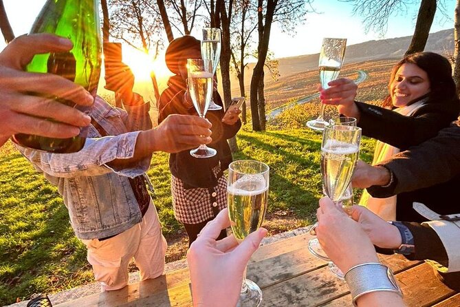 Champagne and Reims Tasting Day Trip from Paris - Hautvillers Vines and Montagne de Reims Views: Terroir You Can See