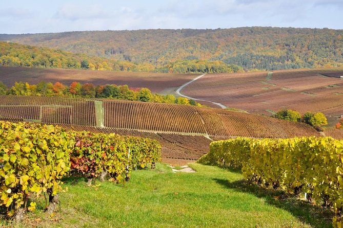 Champagne Area Small-Group Tour including a Top Champagne house & Family Winery - Key Highlights That Matter in Real Life