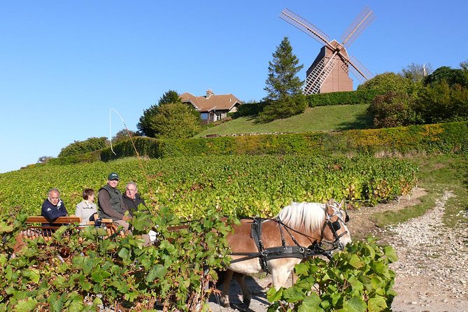 Champagne Day Tour with Reims, Cellars Visit & Champagne Tasting from Paris - Le Phare de Verzenay and Musée de la Vigne, the best views plus a wine museum