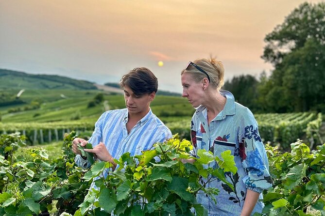 Champagne Day Trip from Paris with 8 Tastings & Lunch - Key takeaways before you go