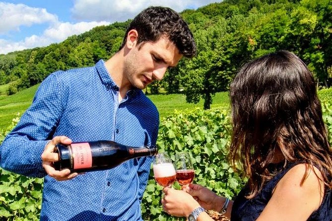Champagne Day Trip from Paris with 8 Tastings & Lunch - Time in the van, what to bring, and the real-world pace