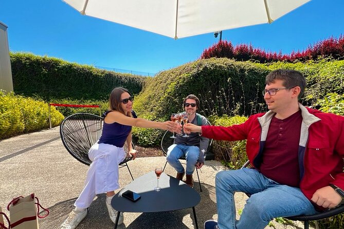 Champagne Picnic and Tasting on Vineyard. Private Tour from Paris - Key highlights you’ll feel during the day