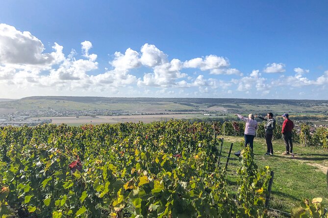 Champagne Private VIP Wine Day Trip with Michelin Lunch - Lunch at a Michelin-star restaurant in a château setting