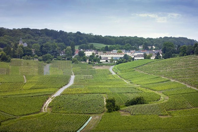 Champagne Region Private Day Trip from Paris - Key Highlights You Should Know Before You Go