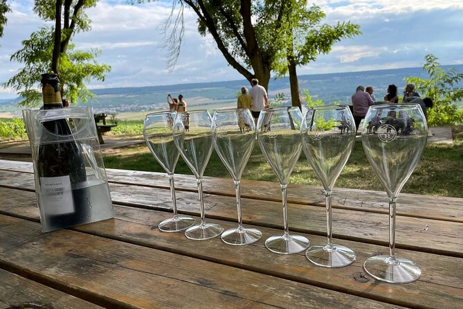 Champagne Small-Group Day Trip with Lunch and Tastings from Paris - What you are likely to see besides Champagne, and why it can be worth it