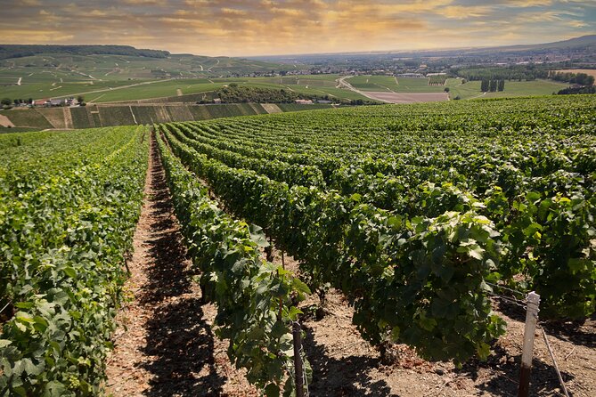 Champagne Tasting Tour Day Trip From Paris - Meeting in central Paris and the long but doable drive east