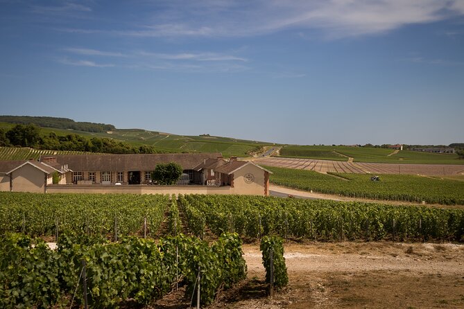 Champagne Tasting Tour Day Trip From Paris - How tastings work when you are sampling 5 to 7+ bottles