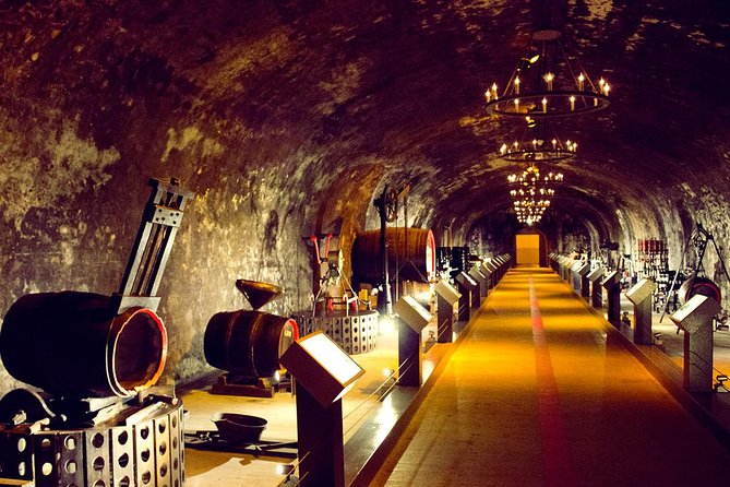 Champagne Tour from Paris by minivan with Reims Cellars & Champagne Tasting - Reims Cathedral for 45 minutes: start strong, then sip smarter