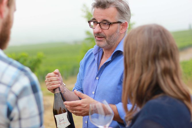 Champagne VIP Day Trip from Paris With Local PRIVATE Wine Expert Guide - Key things I’d plan around