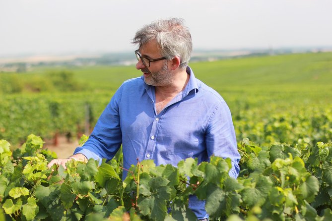Champagne VIP Day Trip from Paris With Local PRIVATE Wine Expert Guide - Reims Cathedral in the crowning city: history you can see in an hour