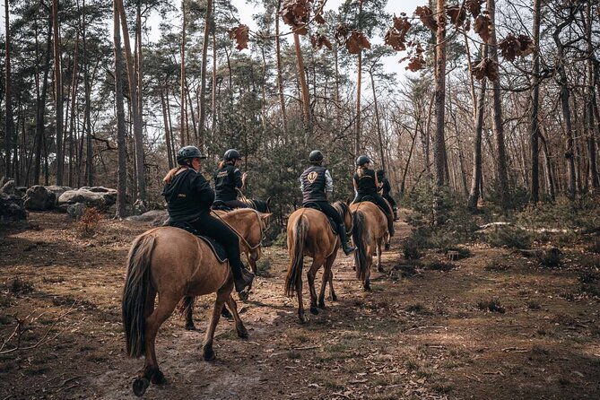 Day Trip to Fontainebleau : Horse Riding, Gastronomy and Castle - Practical tips to make your day smoother