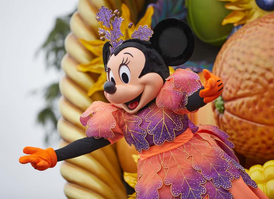 Disneyland® Paris 1-Day Ticket - Entering Disneyland Paris: Turnstiles, IDs, and QR convenience