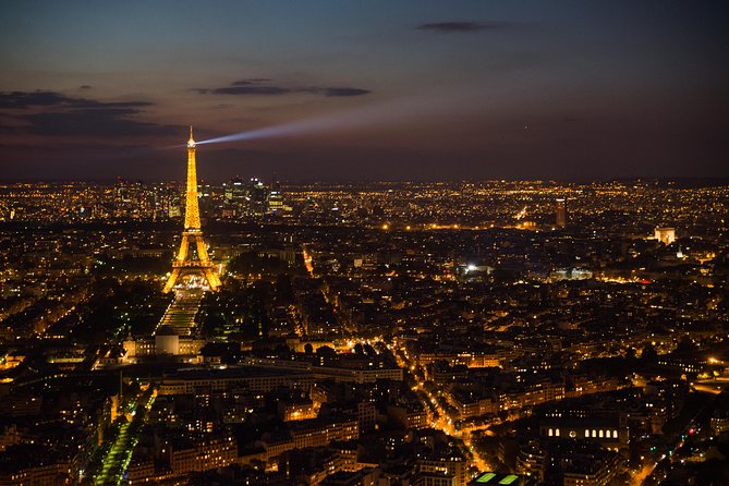 Eiffel Tower and City Tour by Bus with Seine River Cruise Option - Eiffel Tower second-floor access (and the summit option)