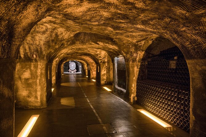 Epernay and Reims Champagne Private Day Trip from Paris - Two tastings and a full-day schedule: pricing that is actually about access