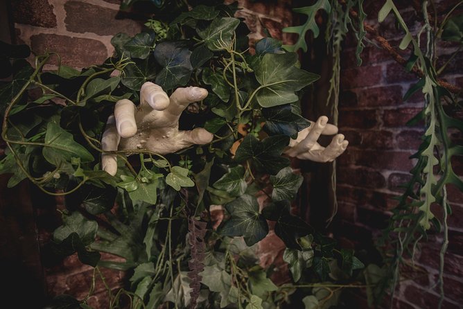 Escape Hunt Paris, Escape Game - Price and Value: Is $65.31 per Person Fair?