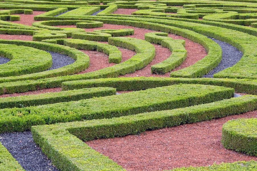 Fontainebleau & Vaux-le-Vicomte Châteaux Day Tour from Paris - Audio Guides, Headsets, and Pace That Works for Real Humans