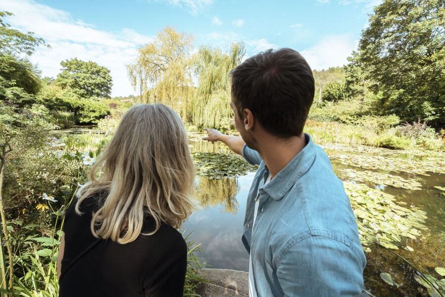 From Paris: Day Trip to Giverny & Versailles with Lunch - Versailles: palace rooms, Hall of Mirrors, and the gardens