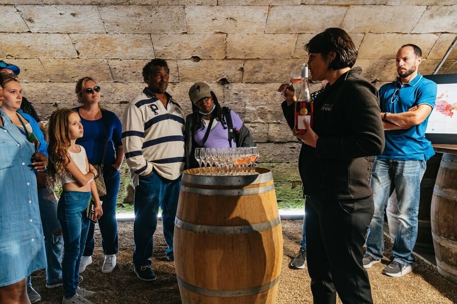 From Paris: Loire Valley Castles Day Trip With Wine Tasting - A One-Day Loire Itinerary That Actually Feels Like a Day