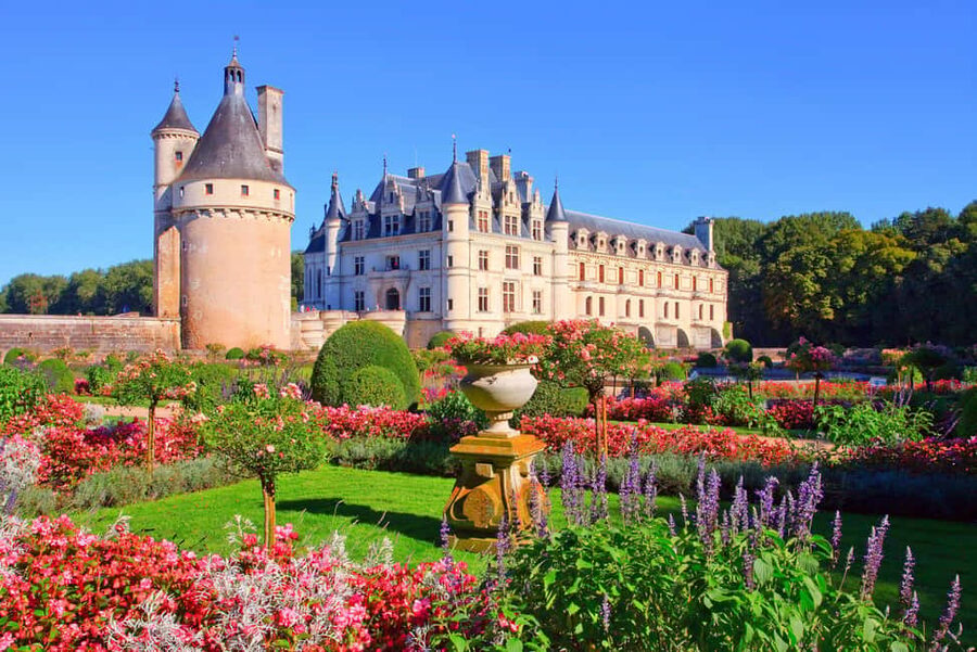 From Paris: Loire Valley Castles Day Trip With Wine Tasting - Château de Chambord in 75 Minutes: What to See First