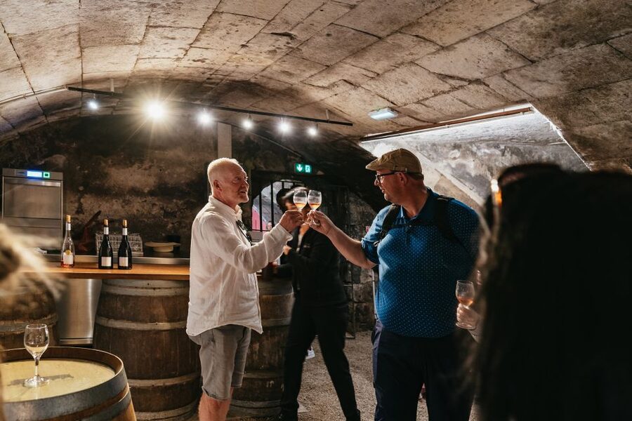 From Paris: Loire Valley Castles Day Trip With Wine Tasting - Price and Value: Is $104 Actually Fair for Chambord, Chenonceau, and Wine?