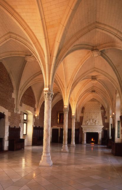 From Paris: Loire Valley Castles Full-Day Tour with Lunch - Who should book this Loire Valley tour, and who should think twice