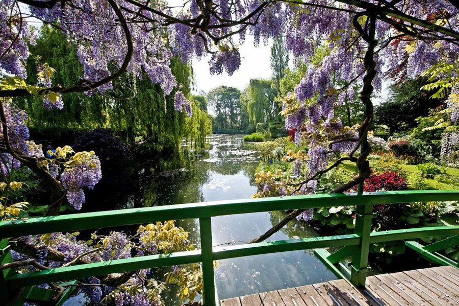 From Paris: Private Trip to Giverny, Monet's House & Museum - Who this tour is best for