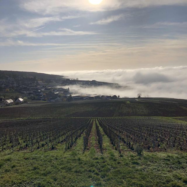 From Paris: Reims and Champagne Tasting Full-Day Tour - Tips to make the schedule feel smooth, not rushed