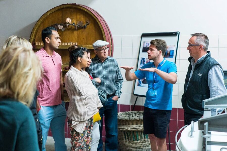 From Paris: Small-Group Champagne Day Trip with Six Tastings - Key highlights worth showing up for