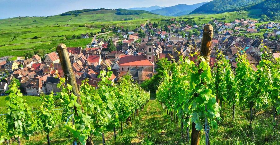 From Paris: Small-Group Champagne Day Trip with Six Tastings - The 7 AM Minibus From Paris: Why the timing is part of the value