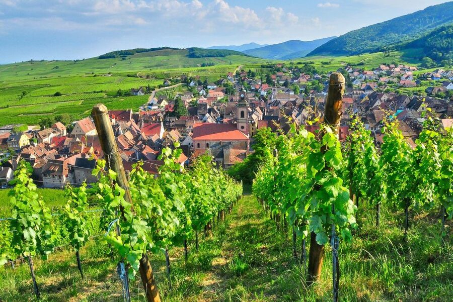 From Paris: Small-Group Champagne Day Trip with Six Tastings - Hautvillers Abbey Saint-Pierre dHautvillers: the Dom Pérignon moment