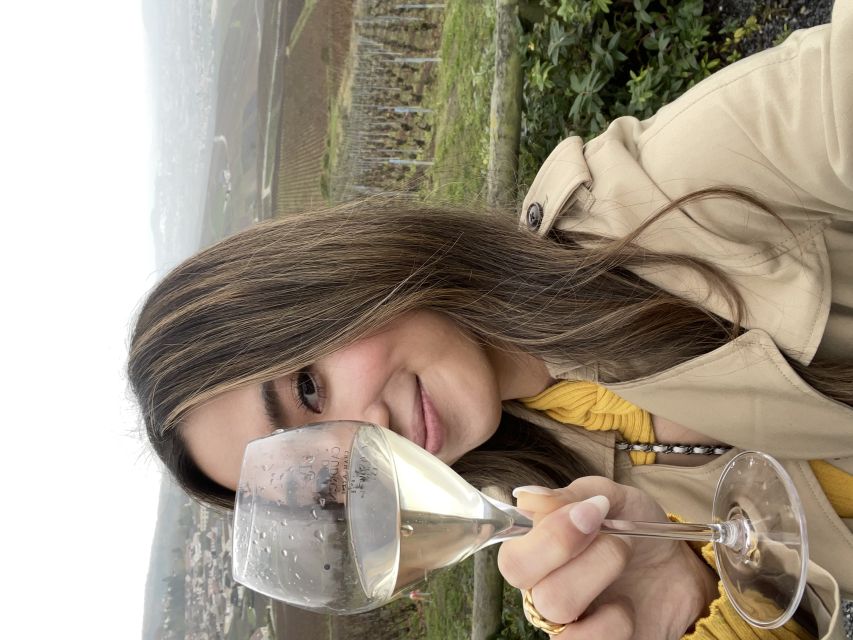 From Paris: Small-Group Champagne Tour with 3-Course Lunch - Champagne Finale: Comparing a Major House With a Smaller Estate