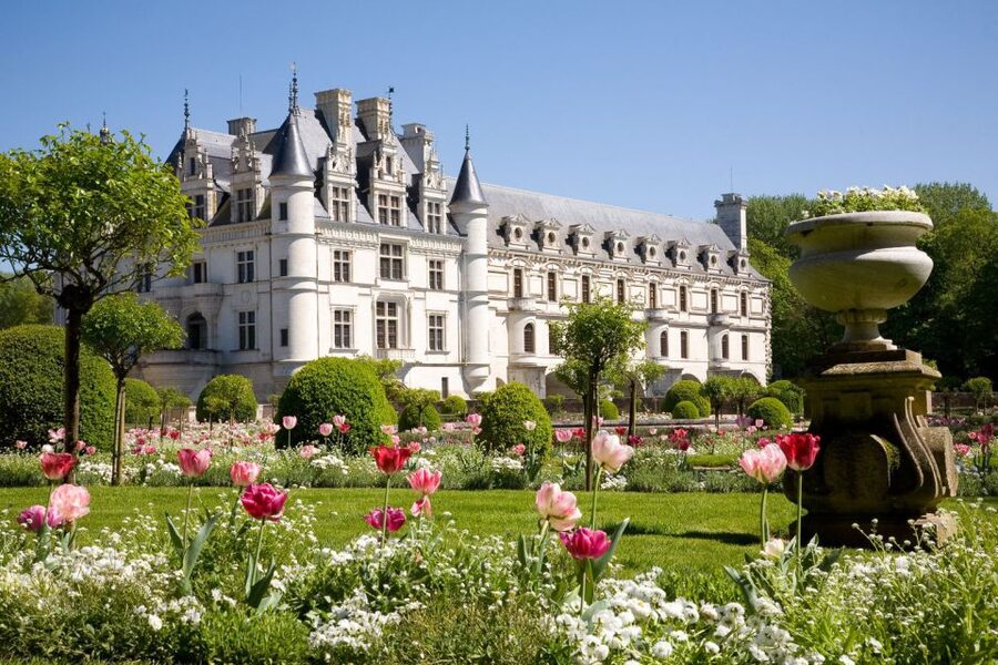 From Paris: Small-Group Loire Valley Castles Full-Day Tour - Château d’Amboise: François I’s world and Leonardo da Vinci’s tomb