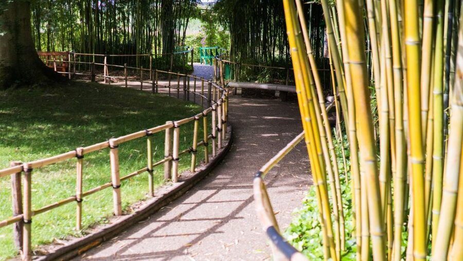From Paris: Versailles and Giverny Full-Day Trip - Value check: is $294 a good deal for this day?