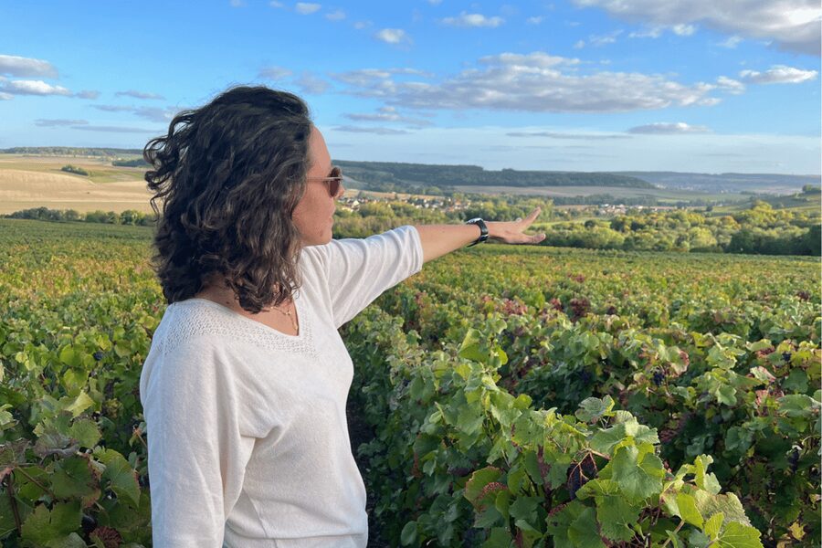 From Paris: Wine Day trip to SANCERRE w 10 Tastings & Lunch - Key highlights that make this Sancerre day feel worth it