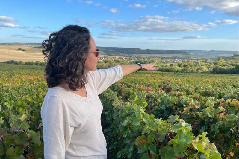 From Paris: Wine Day trip to SANCERRE w 10 Tastings & Lunch - The value behind an 11-hour wine day from Paris