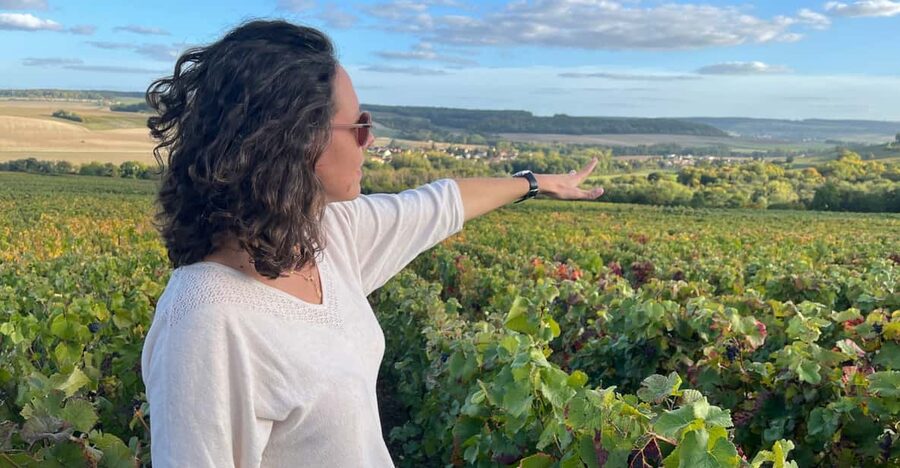 From Paris: Wine Day trip to SANCERRE w 10 Tastings & Lunch - Vineyard views and the Sancerre terroir lesson that actually sticks