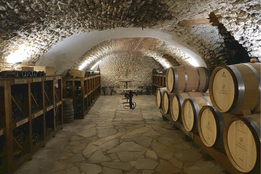 From Paris: Wine Day trip to SANCERRE w 10 Tastings & Lunch - Visiting at least two family wineries and what to watch for
