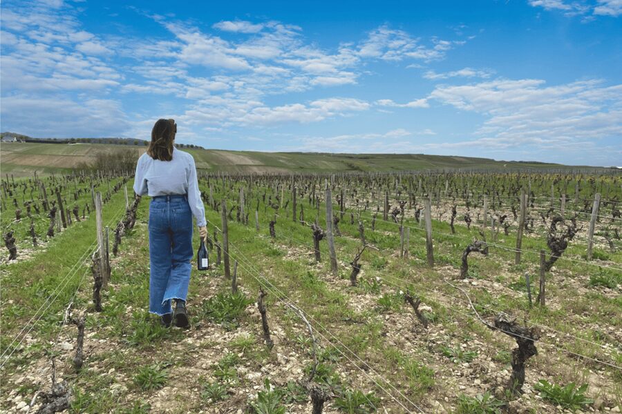 From Paris: Wine Day trip to SANCERRE w 10 Tastings & Lunch - The lunch moment: traditional French food with a real pairing