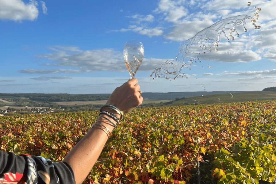 From Paris: Wine Day trip to SANCERRE w 10 Tastings & Lunch - Crottin de Chavignol: the goat-cheese tasting that teaches pairing