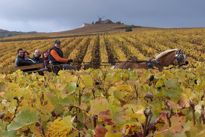 Full Day All-inclusive Tour in Champagne from Paris in a Minivan - Key highlights to know before you go