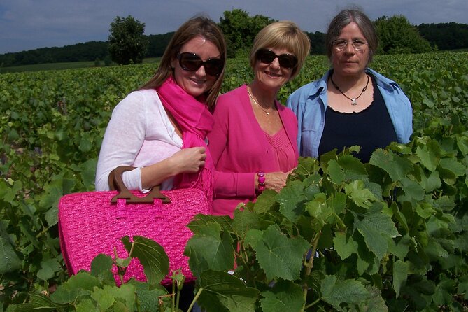 Full Day All-inclusive Tour in Champagne from Paris in a Minivan - Vranken Pommery: chalk pits, 27 million bottles, and a final sip
