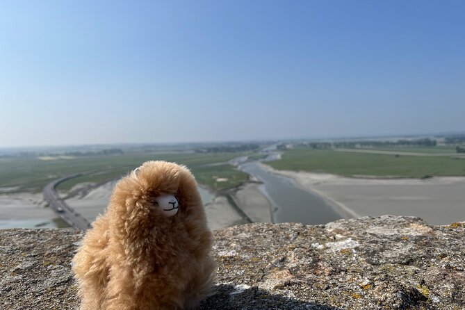 Full-day Private Tour in Mont Saint Michel with Calvados Tasting - Price and Value: What You Pay For With a Group of Up to 3