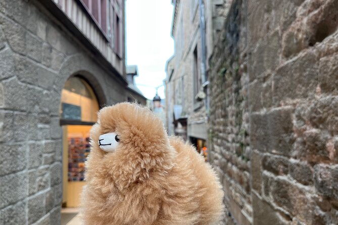 Full-day Private Tour in Mont Saint Michel with Calvados Tasting - Should You Book This Mont Saint Michel and Calvados Private Tour?
